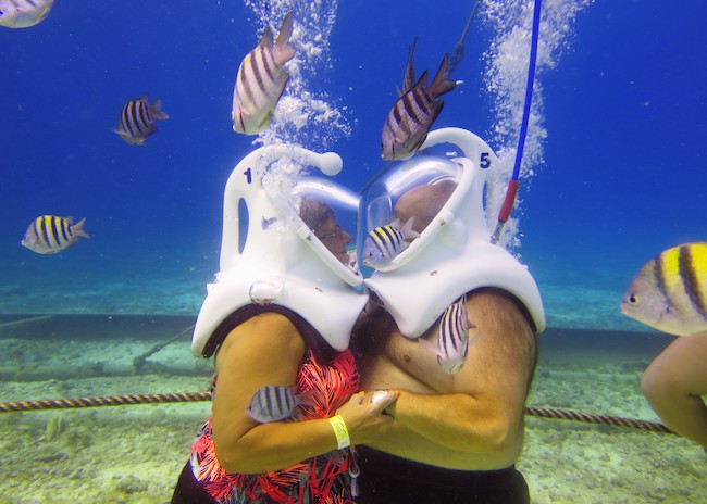 Sea Trek In Cozumel Tour Book Today From 84